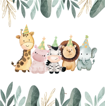 Safari Bebe